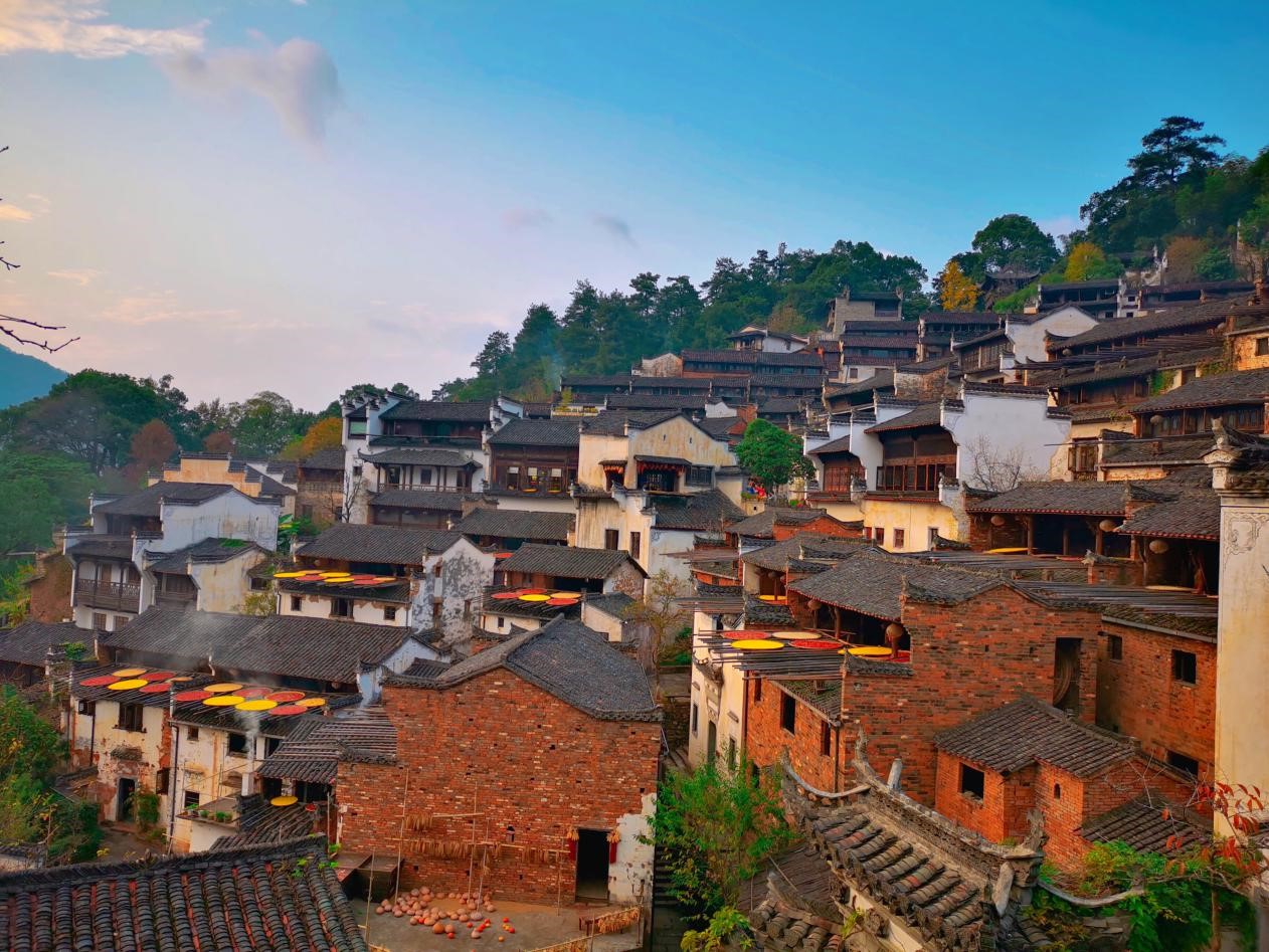 1605515999138454.jpg 05.jpg