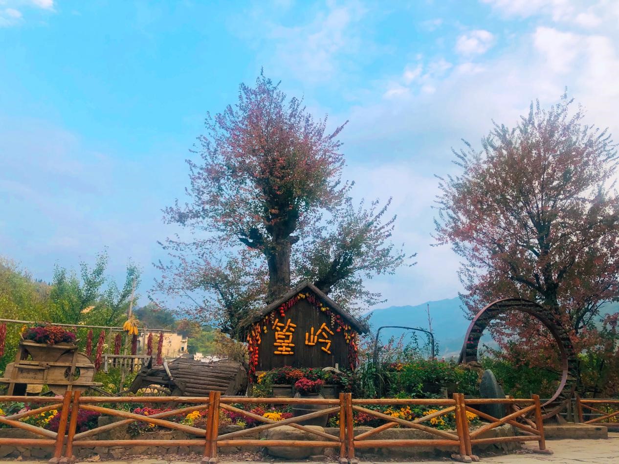 1605516237312281.jpg 09.jpg