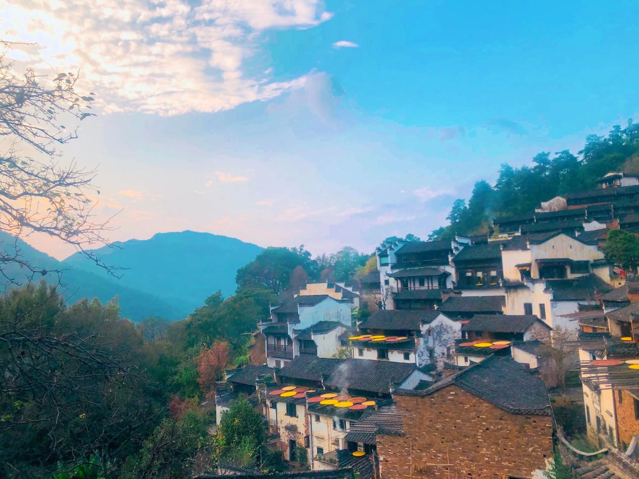 1605516291880172.jpg 10.jpg