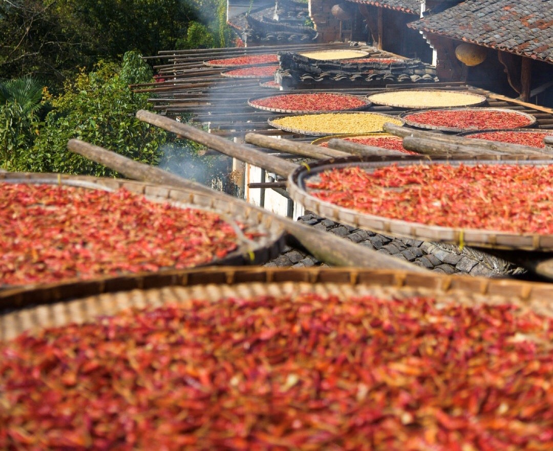 1605516338107123.jpg 11.jpg