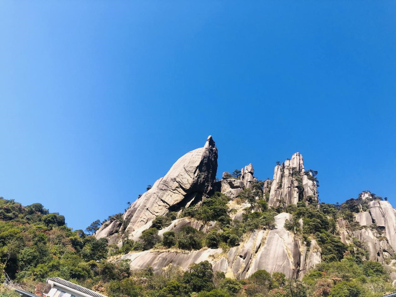 1605516482347438.jpg 13.jpg