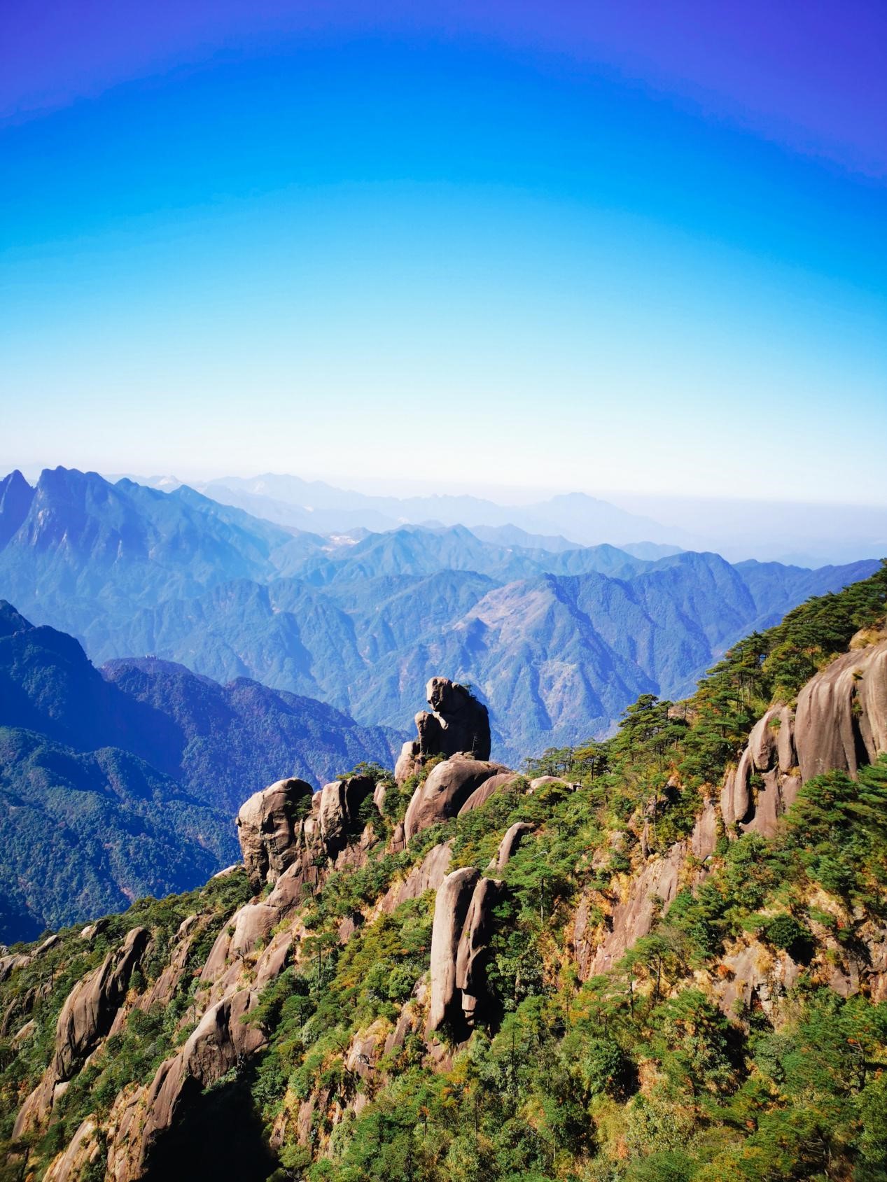 1605516532132176.jpg 14.jpg