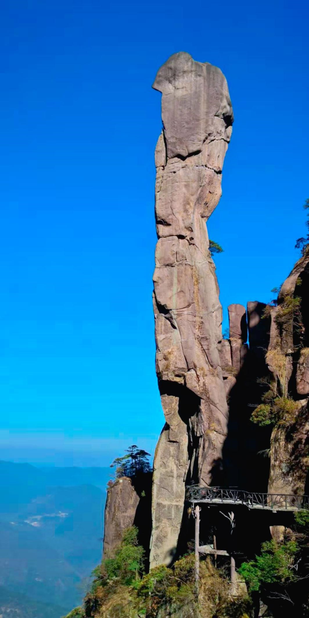 1605516577136531.jpg 15.jpg