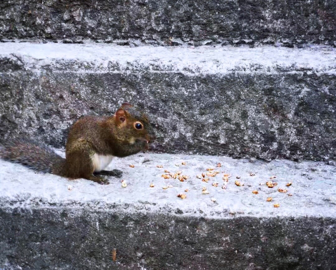 1605516859224841.jpg 23.jpg