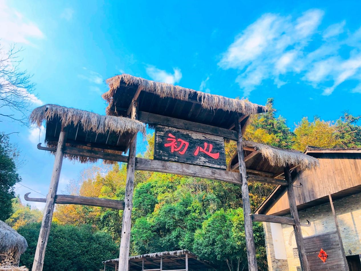 1605516939336035.jpg 25.jpg